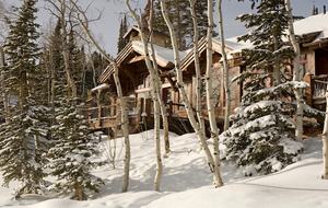 Larkspur - Park City, Utah