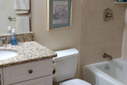 Scorpio Vail Luxury Condo - Vail, Colorado