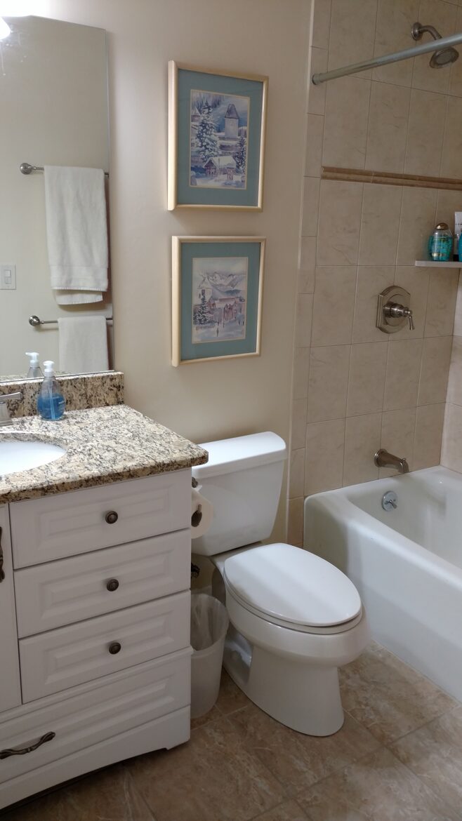 Scorpio Vail Luxury Condo - Vail, Colorado