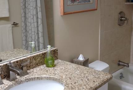 Scorpio Vail Luxury Condo - Vail, Colorado