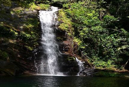Villa Jammin Gecko - Placencia, Belize