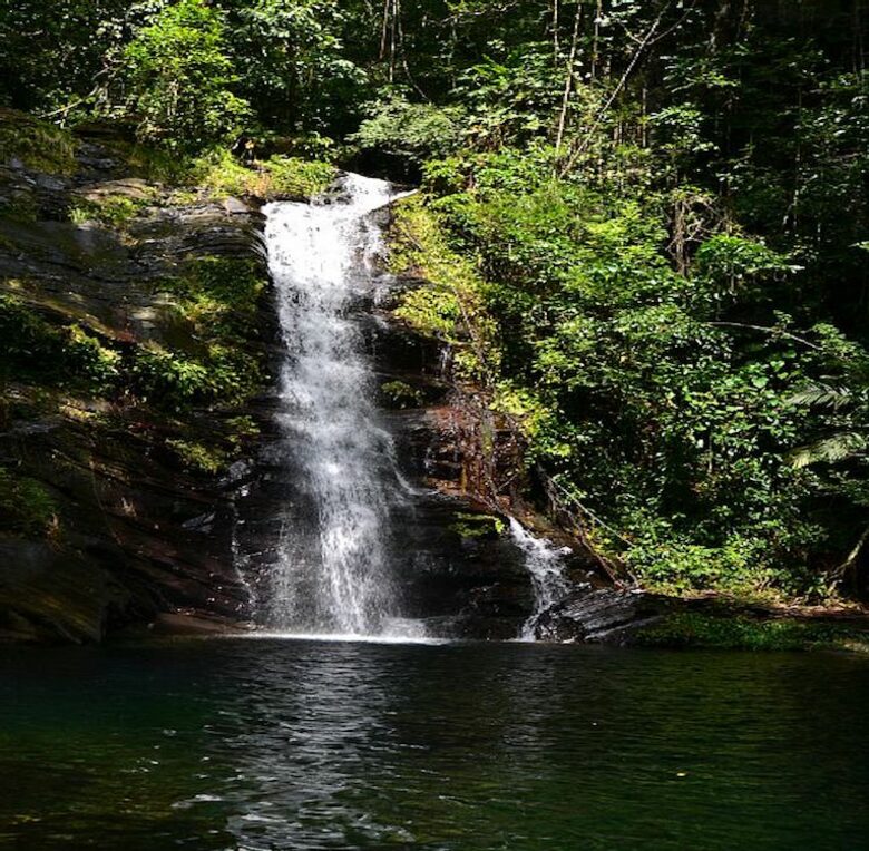 Villa Jammin Gecko - Placencia, Belize