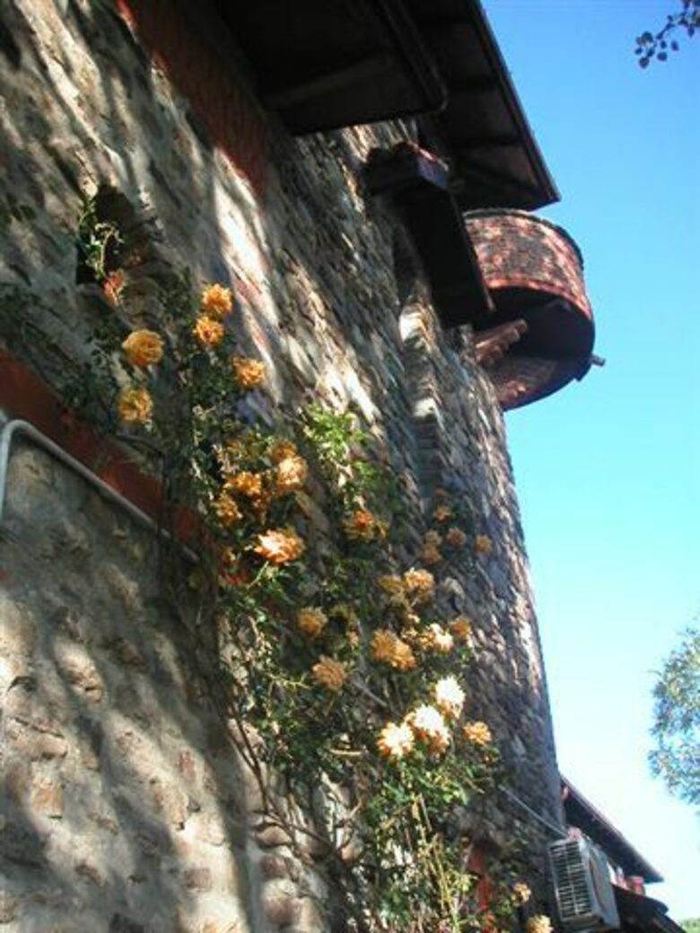 Castello Bologna - Bologna, Italy