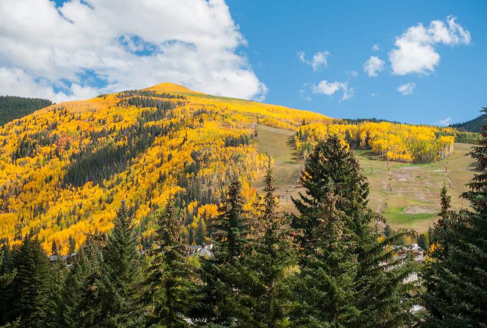 Austria Haus - 3 Bedroom Penthouse - Vail, Colorado