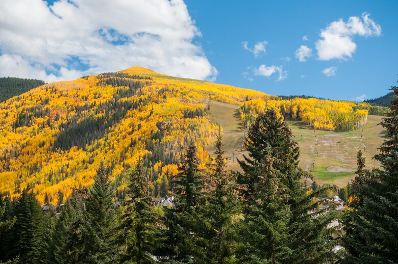 Austria Haus - 3 Bedroom Penthouse - Vail, Colorado