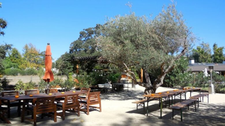 Twelve Oaks Retreat - Sonoma, California