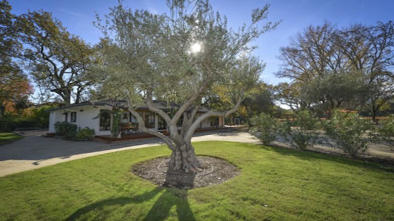 Twelve Oaks Retreat - Sonoma, California