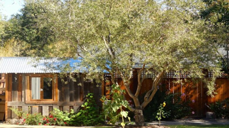 Twelve Oaks Retreat - Sonoma, California