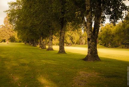 Casa El Descanso - Avandaro, Mexico