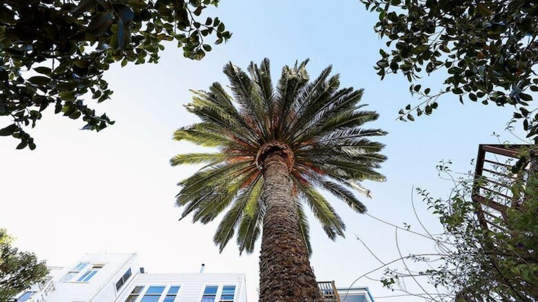 Historical Modern Luxury Condo - San Francisco, California