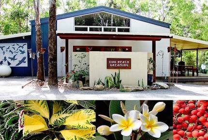 Oak Beach Dreaming - Port Douglas, Australia