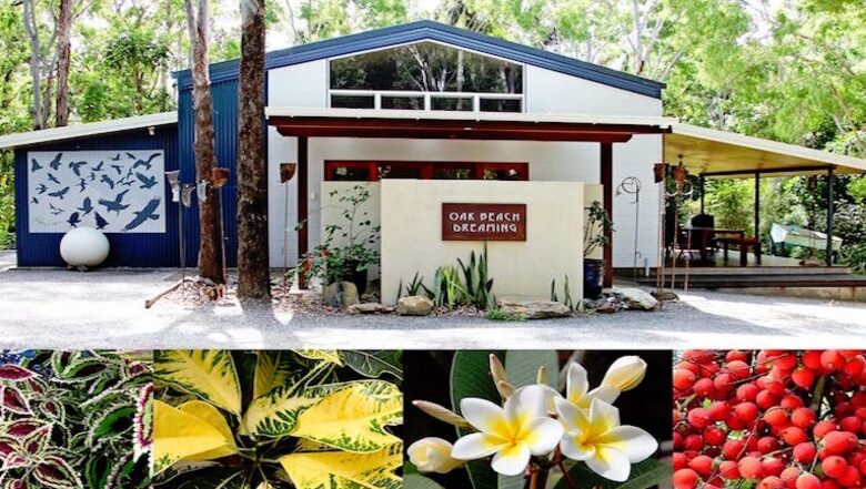 Oak Beach Dreaming - Port Douglas, Australia