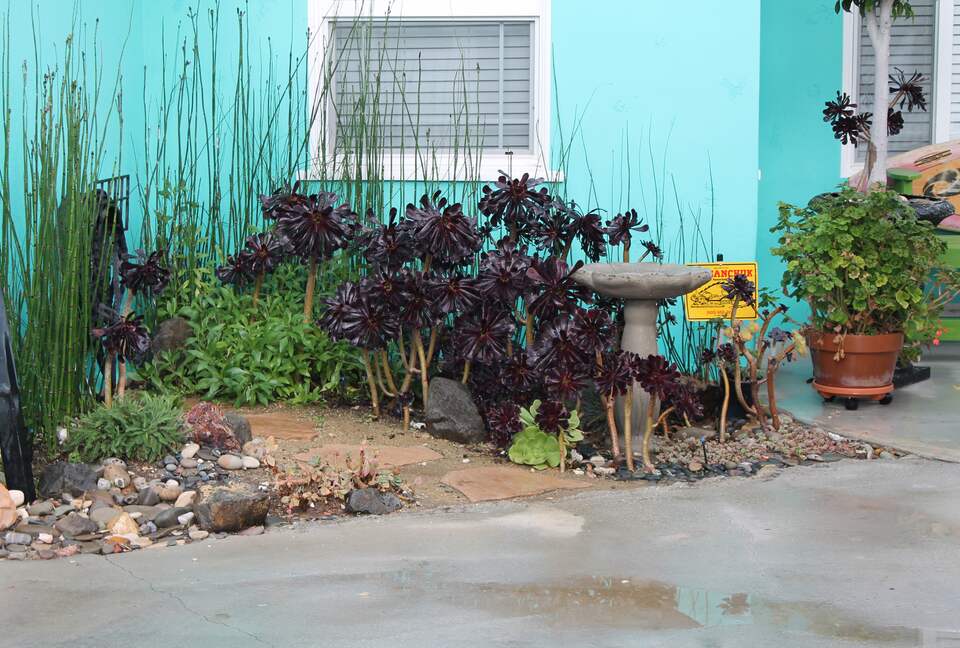 The Starfish Cottage - Ventura, California