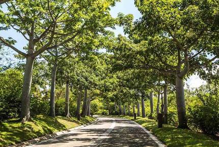 Las Terrazas, Punta Mita - Bahia 12 - Punta Mita, Mexico