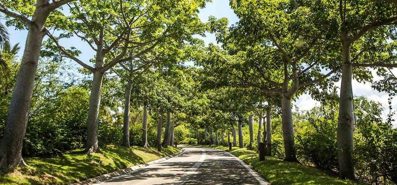 Las Terrazas, Punta Mita - Bahia 12 - Punta Mita, Mexico