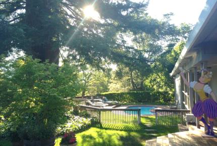 Napa Valley Estate with Guesthouse - Calistoga, California