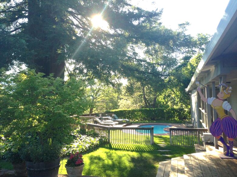 Napa Valley Estate with Guesthouse - Calistoga, California