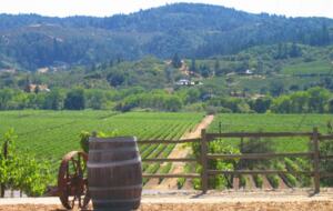 Small Town Living in Wine Country - Healdsburg, California