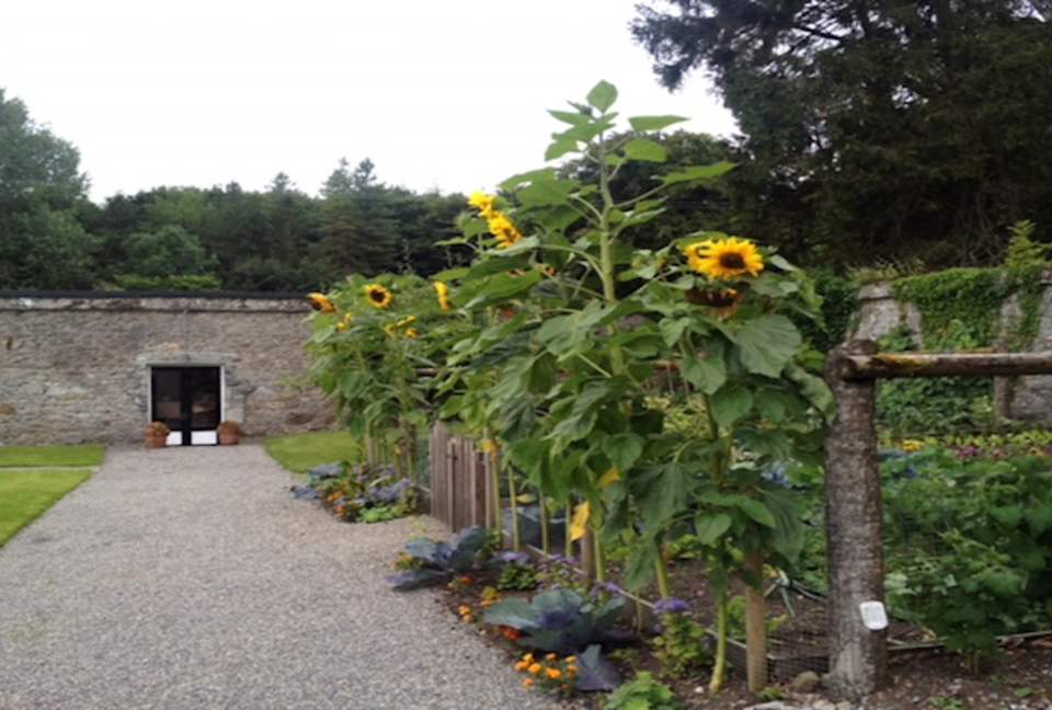 Nenagh Co. Tipperary - Nenagh, Ireland