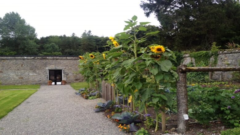 Nenagh Co. Tipperary - Nenagh, Ireland