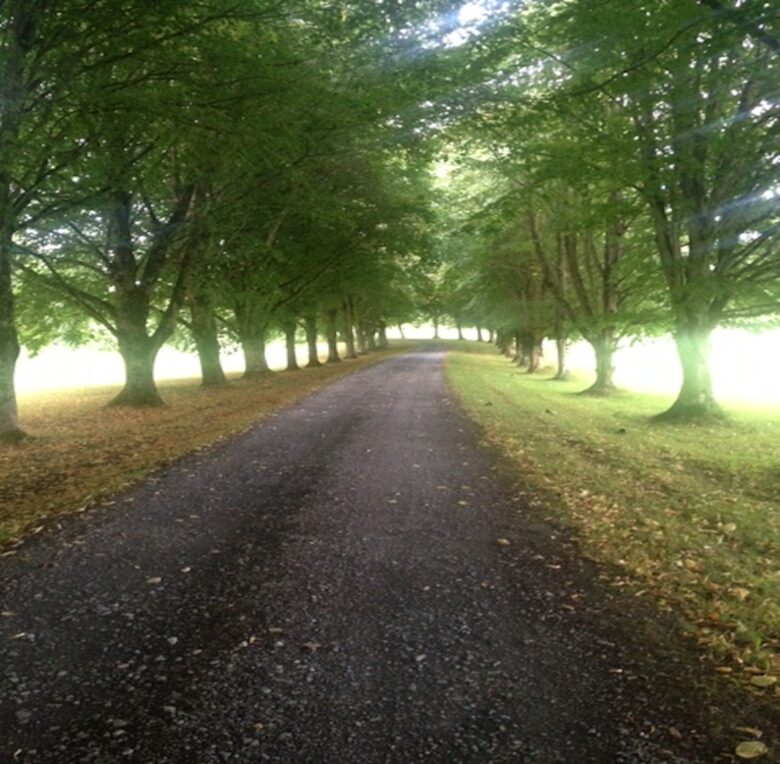 Nenagh Co. Tipperary - Nenagh, Ireland