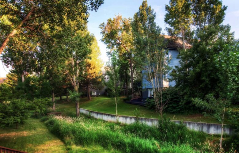 Boulder Tree House Near Wonderland Lake - Boulder, Colorado