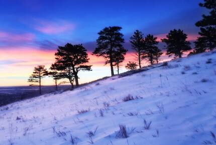Boulder Tree House Near Wonderland Lake - Boulder, Colorado