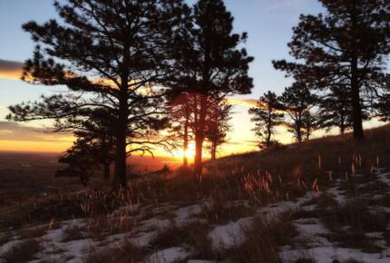 Boulder Tree House Near Wonderland Lake - Boulder, Colorado
