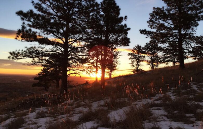 Boulder Tree House Near Wonderland Lake - Boulder, Colorado