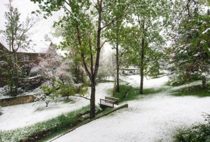Boulder Tree House Near Wonderland Lake - Boulder, Colorado