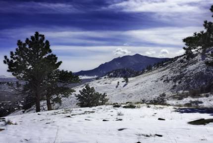 Boulder Tree House Near Wonderland Lake - Boulder, Colorado