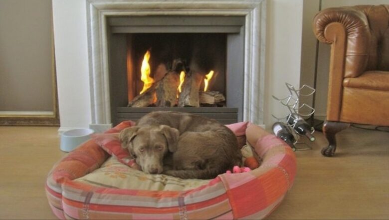 Unique High End Canal House - Amsterdam, Netherlands