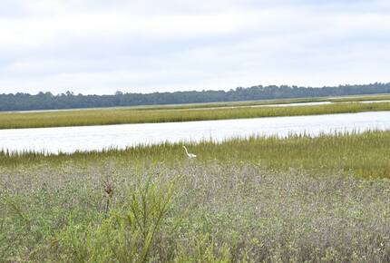 Anglar Road - Kiawah Island, South Carolina