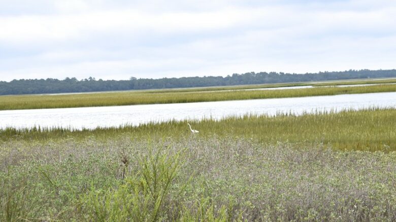 Anglar Road - Kiawah Island, South Carolina