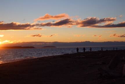 Whidbey Island Waterfront Paradise - Greenbank, Washington