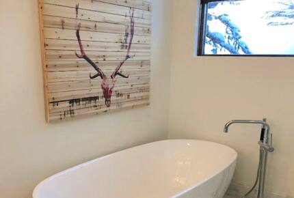 Highline Mountain Retreat - Vail, Colorado