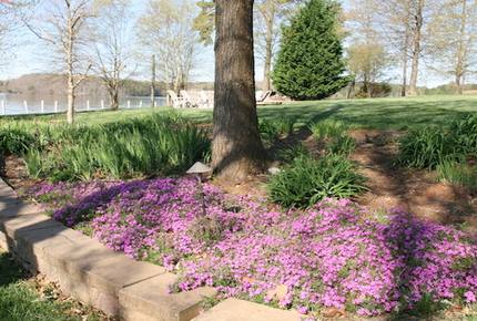 Carolina Hideaway - Sherrills Ford, North Carolina