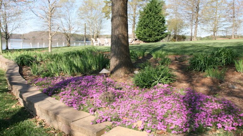 Carolina Hideaway - Sherrills Ford, North Carolina