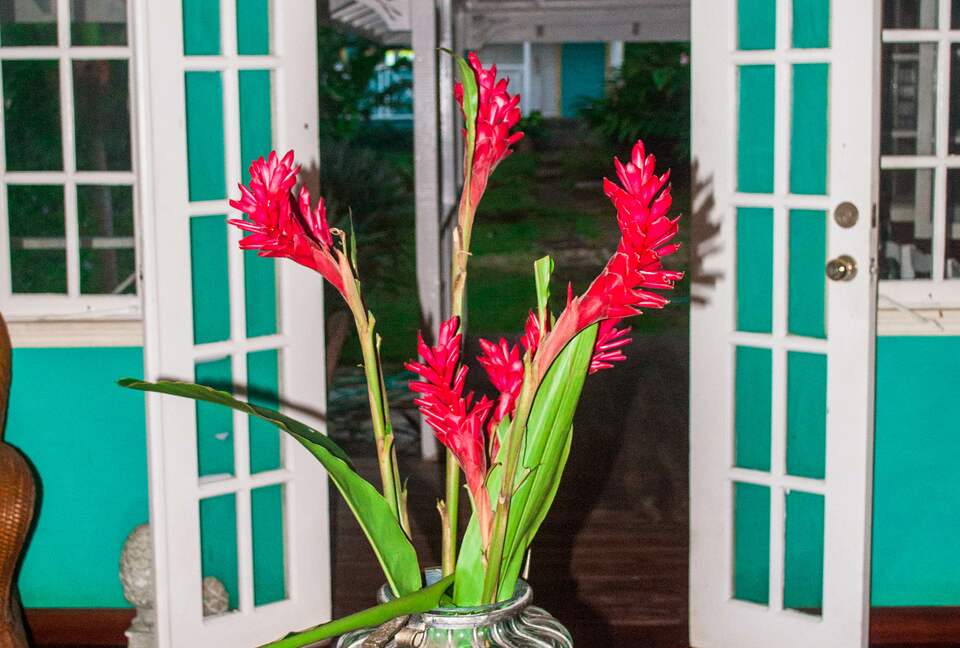 Willow's Estates - St Ann's Bay, Jamaica