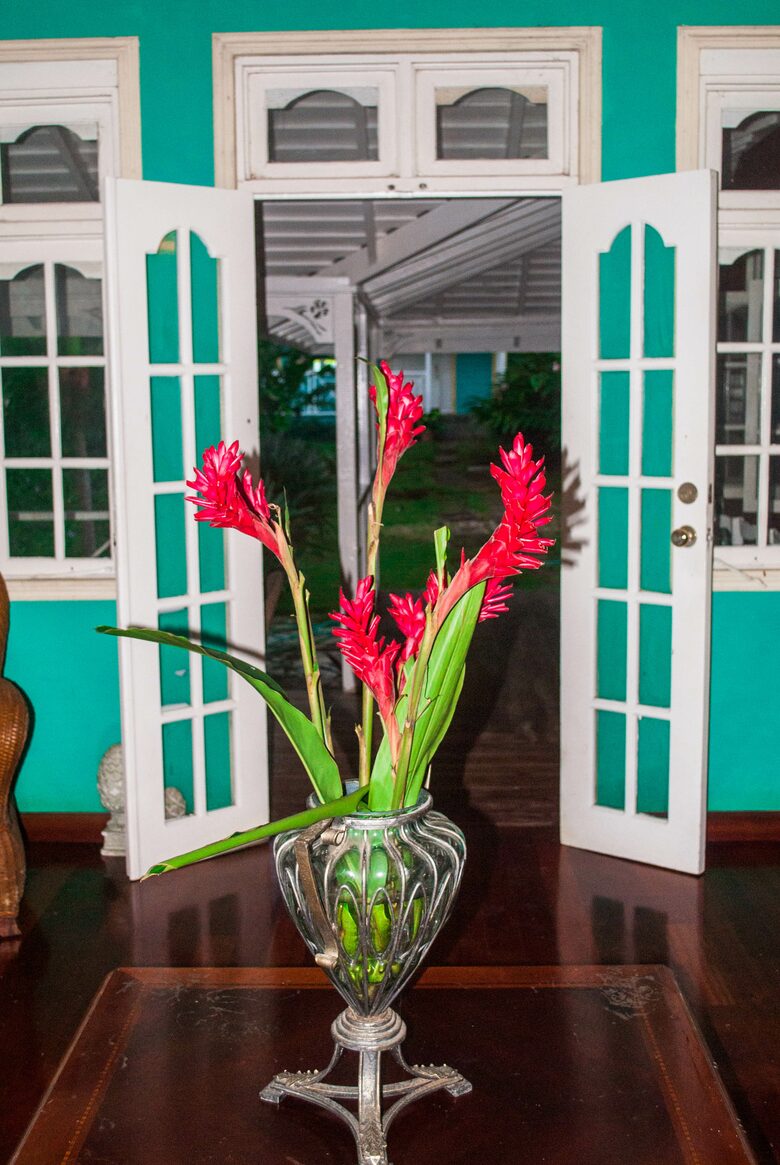 Willow's Estates - St Ann's Bay, Jamaica