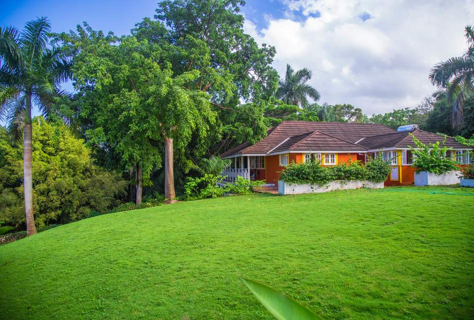 Willow's Estates - St Ann's Bay, Jamaica