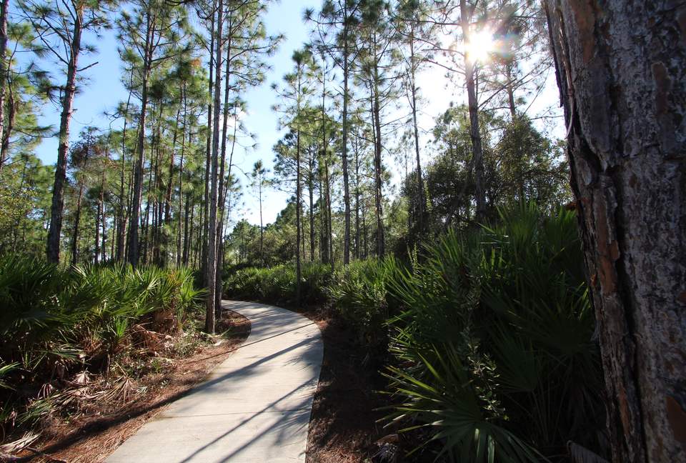 Venice Florida Escape - Venice, Florida