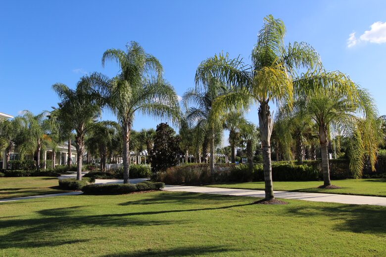 Venice Florida Escape - Venice, Florida