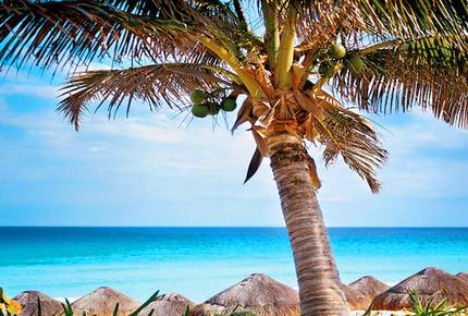 The Westin Lagunamar Ocean Resort - Cancun, Mexico