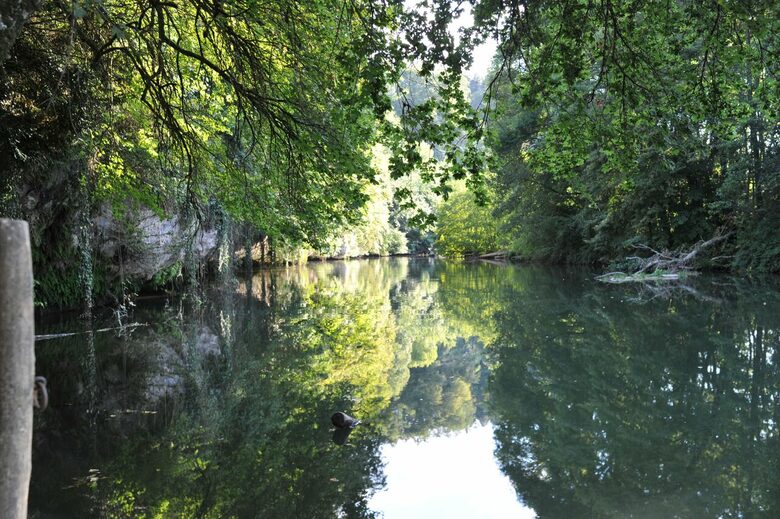 A Suite at Chateau Alizes - Sourzac, France