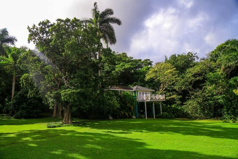 Willow's Estates - St Ann's Bay, Jamaica