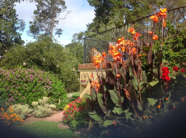 Majestic Monterey Estate - Monterey, California