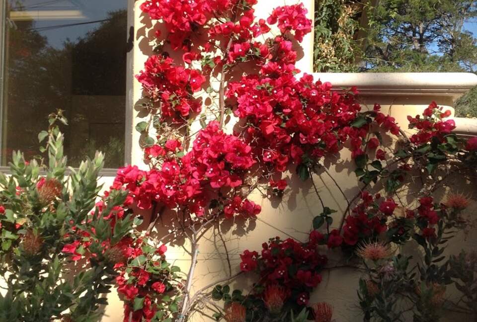 Majestic Monterey Estate - Monterey, California