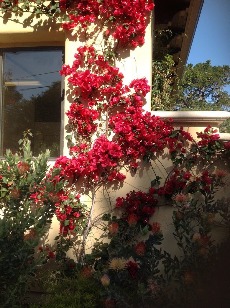 Majestic Monterey Estate - Monterey, California