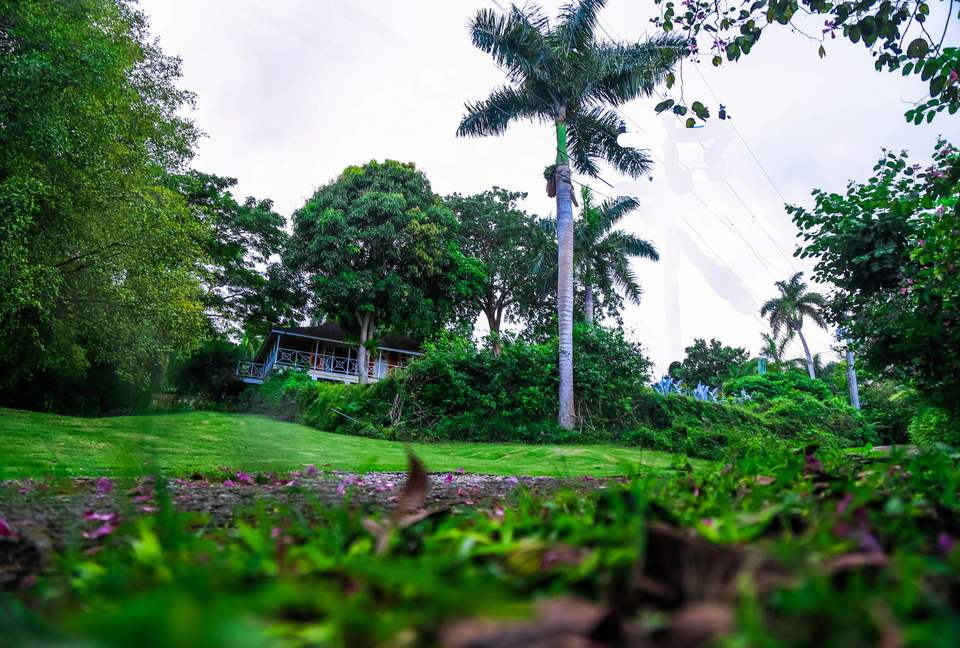 Willow's Estates - St Ann's Bay, Jamaica